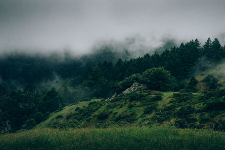 网站ddos隐藏源ip